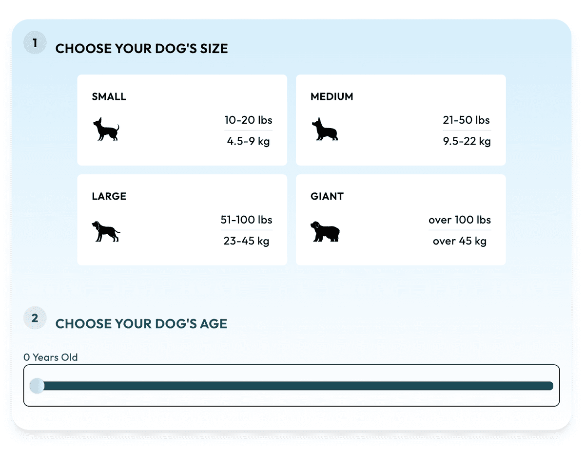 Dog age calculator