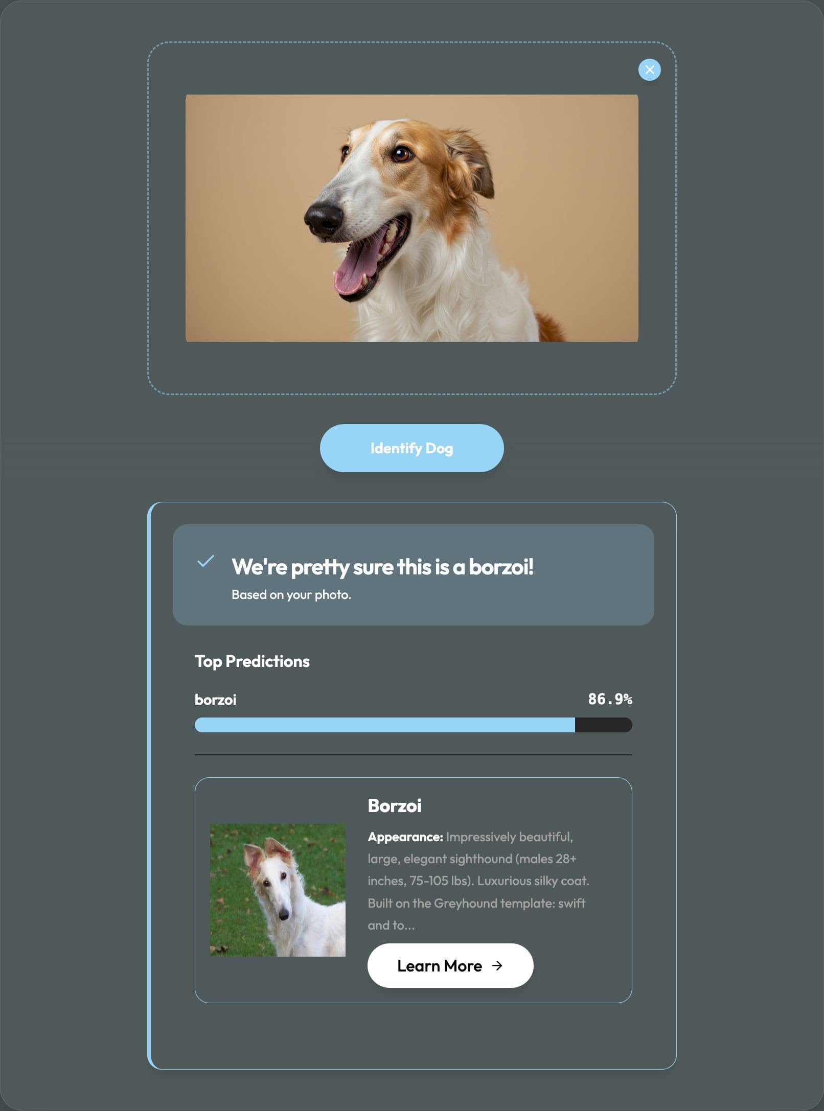 Dog breed identification