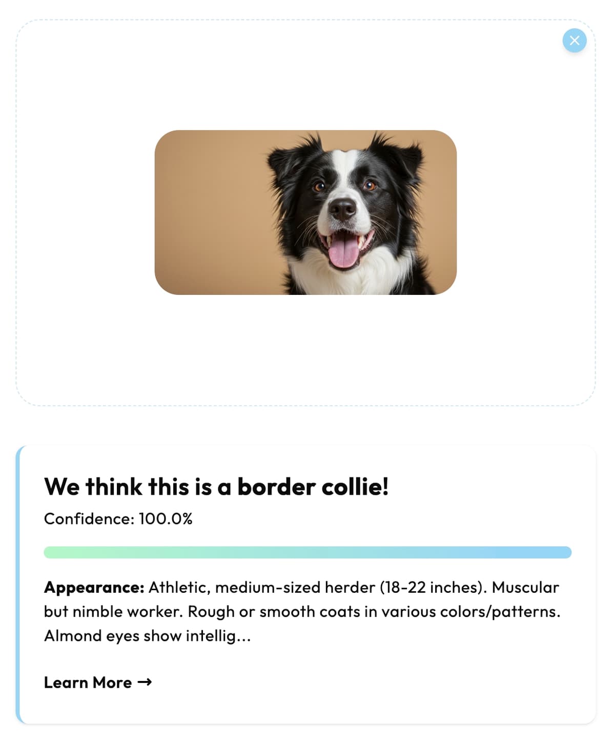Dog breed identification